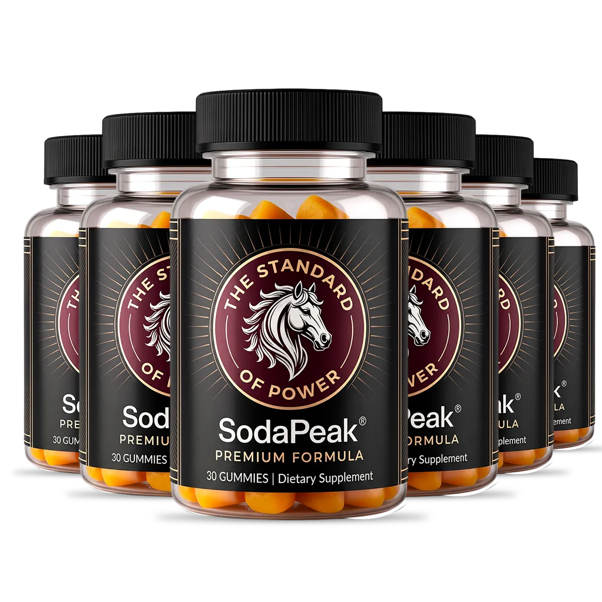SodaPeak 6 bottles discount